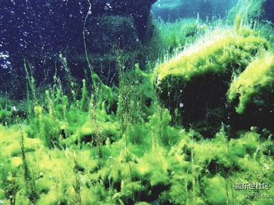 整理幾張s7 edge，s8+，n7隨拍