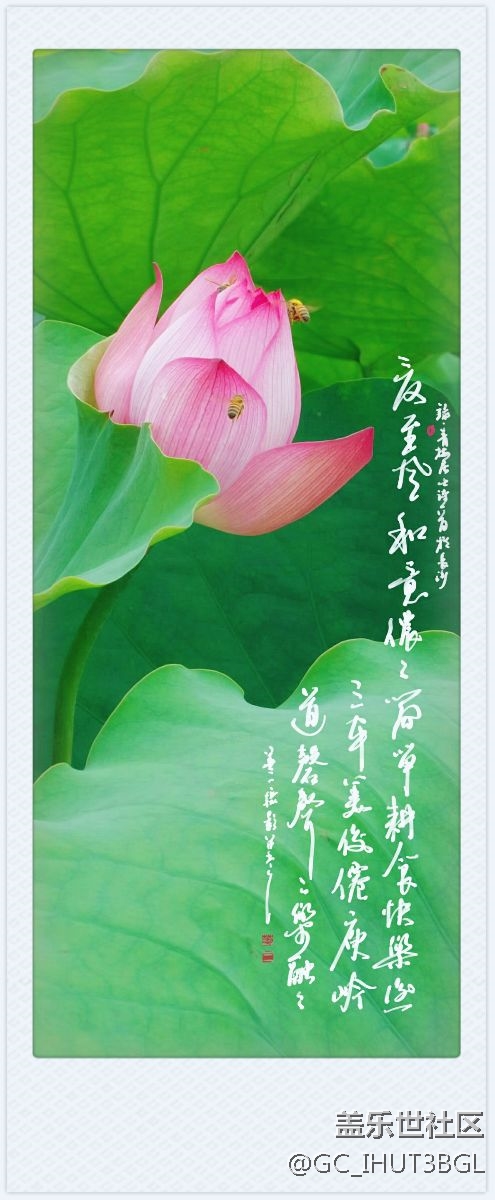 發(fā)幾張本人用三星NOTE系列手機(jī)所拍的相片和書(shū)手的書(shū)法作品