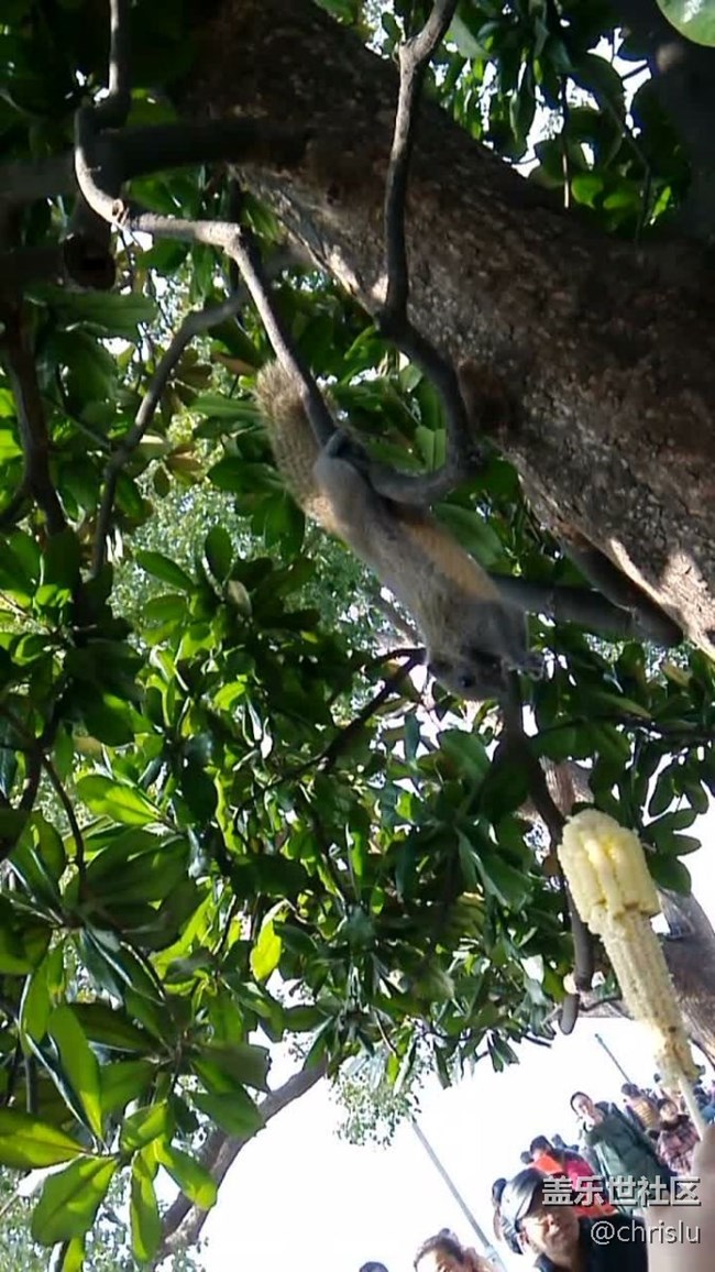 虹膜識別 啟動速度 延遲