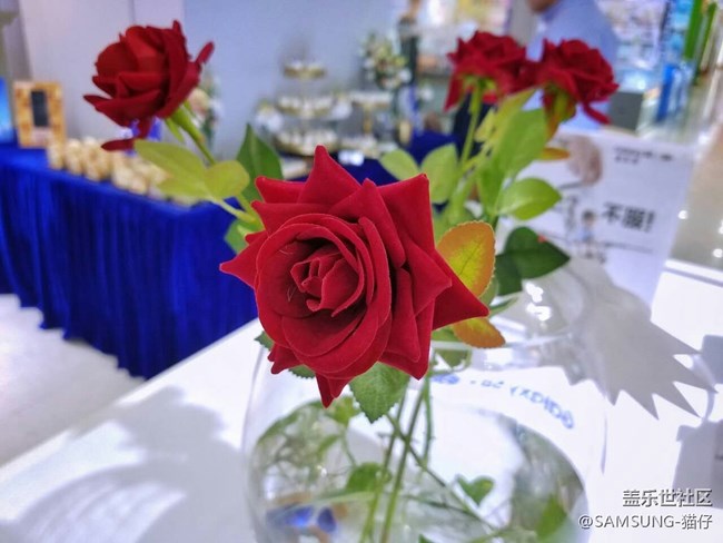 NOTE8 品鑒會(huì)廈門(mén)星部落---筆較厲害！！