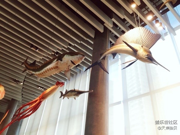 于公子帶你走進(jìn)上海自然博物館