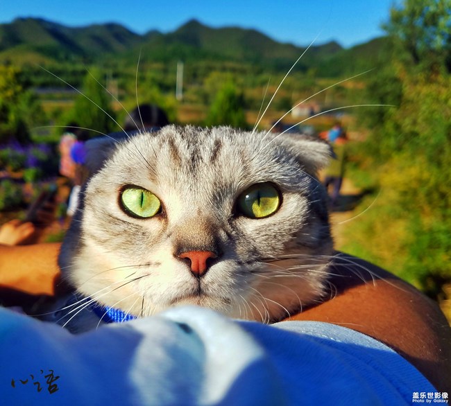 每周精帖匯【第72期：Note8星部落品鑒會等你來！】