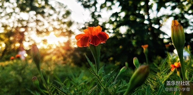 每周精帖匯【第72期：Note8星部落品鑒會等你來！】