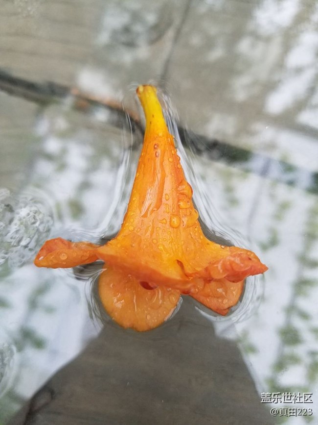 一個(gè)經(jīng)典設(shè)計(jì)的自我修養(yǎng)！三星領(lǐng)世8：重塑奢華，鑄就不凡