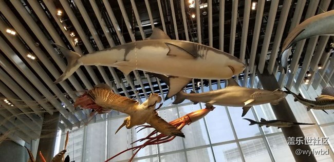 上海星部落-走進(jìn)自然博物館