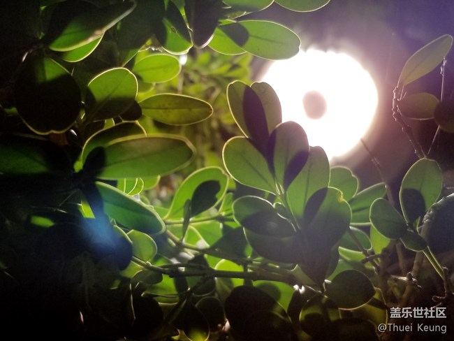 雙鏡頭這樣玩—Note8拍照體驗(yàn)