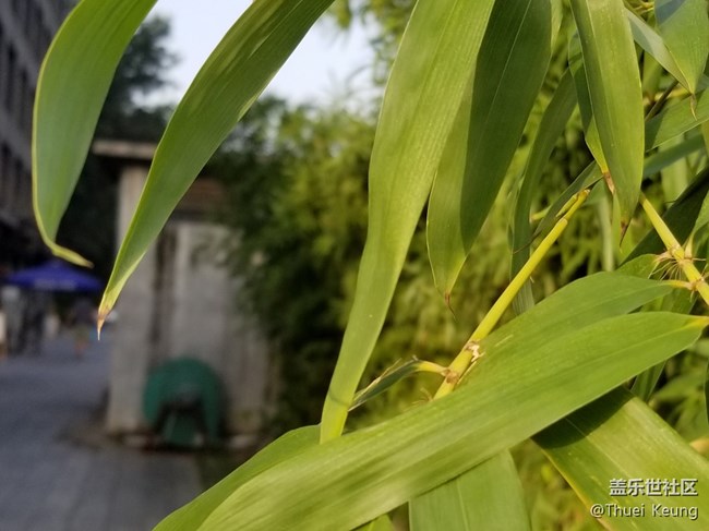 雙鏡頭這樣玩—Note8拍照體驗(yàn)