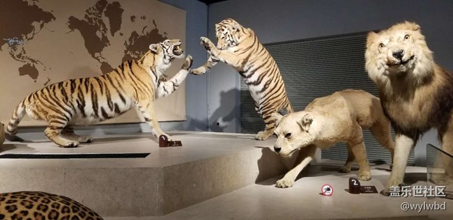 上海星部落-走進(jìn)自然博物館