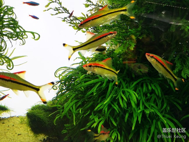 雙鏡頭這樣玩—Note8拍照體驗(yàn)