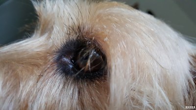 看我們這眼線畫的如何？