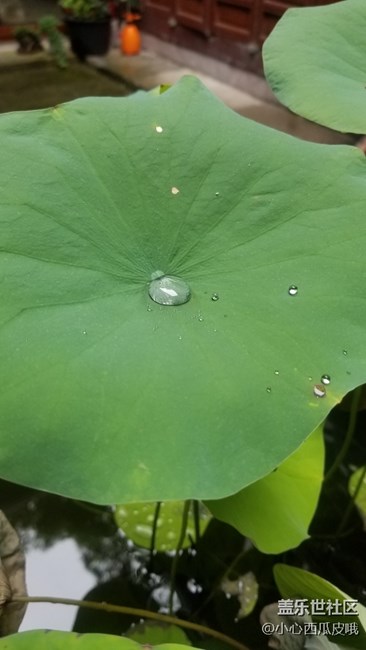 三星note8星匯社杭州品鑒會(huì)