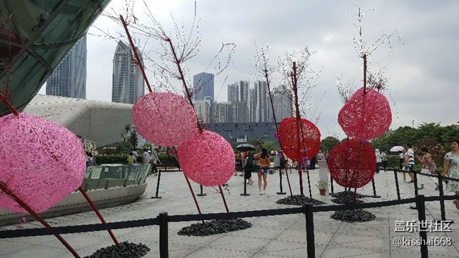 再發(fā)一波照片