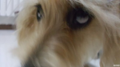 來(lái)，看我的白眼