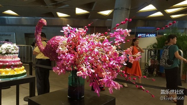 再發(fā)一波照片