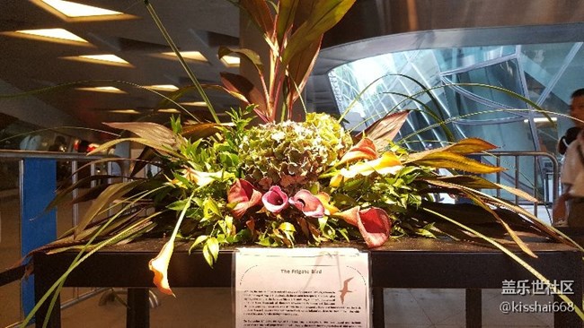 再發(fā)一波照片