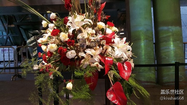 再發(fā)一波照片