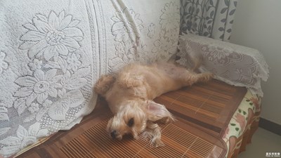 看我這xiaohun的睡姿