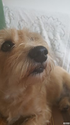 我這傲嬌的氣質(zhì)，只賣呆萌的表情