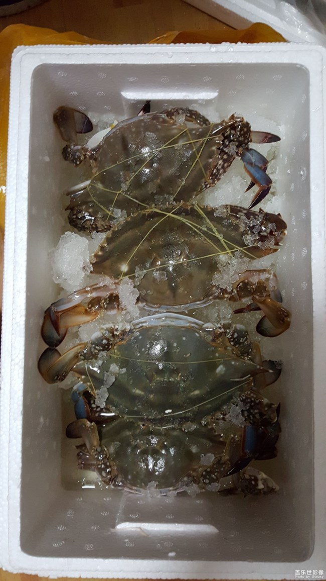 吃大閘蟹的季節(jié)