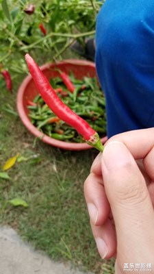 《秋天的故事》+野外百態(tài)