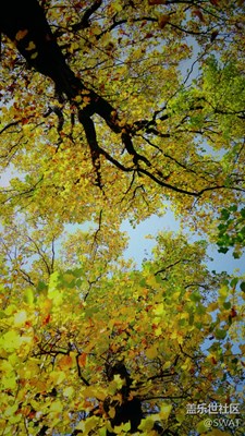 《秋天的故事》+隨拍