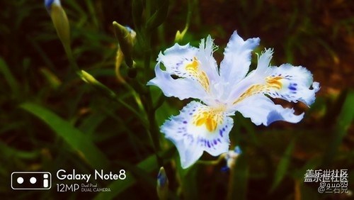 請問note 8拍照怎么能有這樣的水印