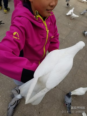 《吃喝玩樂》+喂鴿子