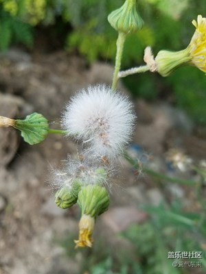 祝大家中秋快樂