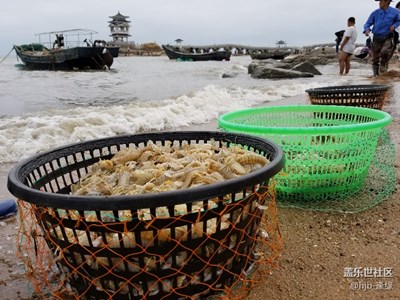 《吃喝玩樂》+金秋時節(jié)賞美景吃海鮮大餐