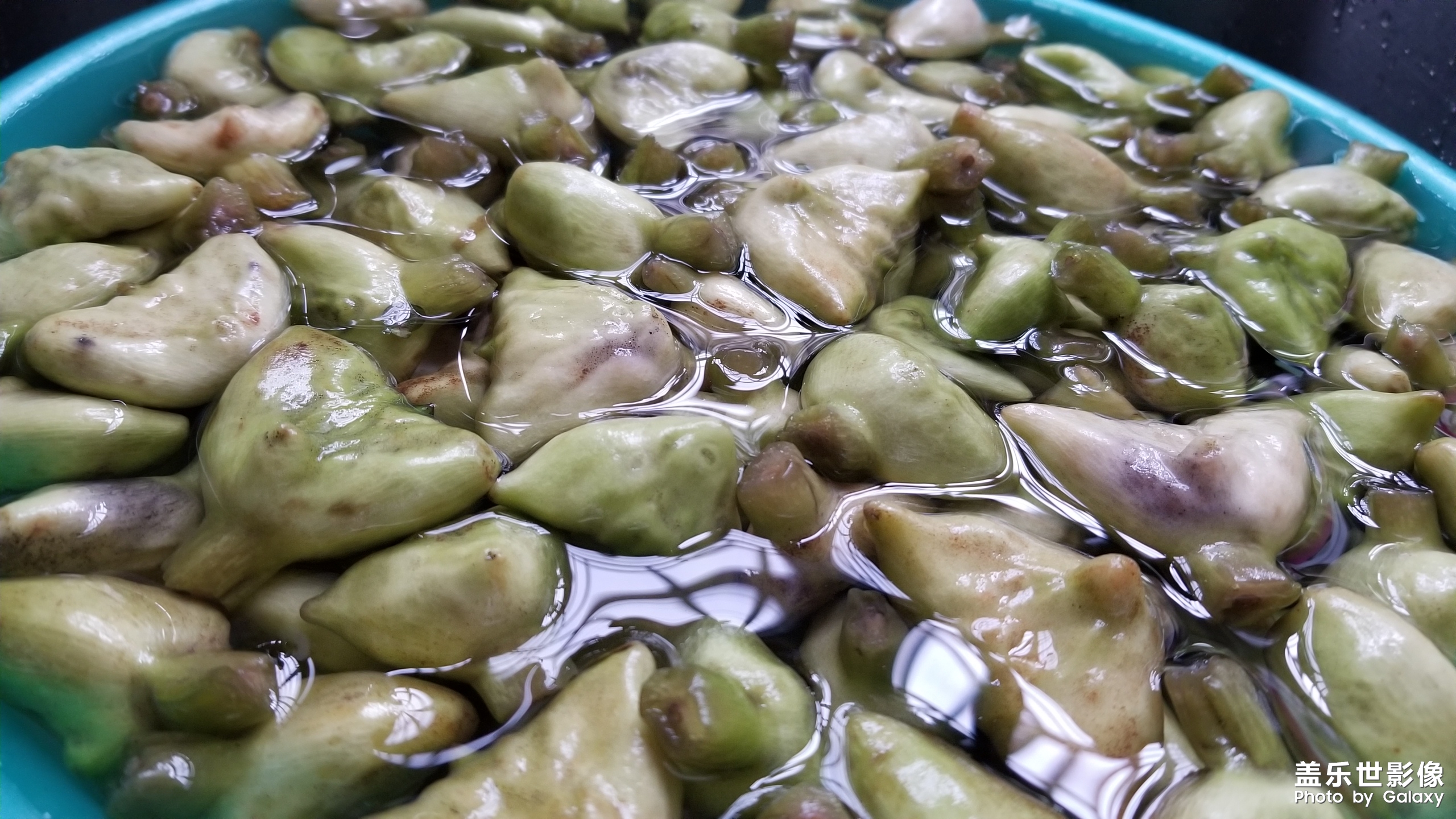 猜猜這個是什么