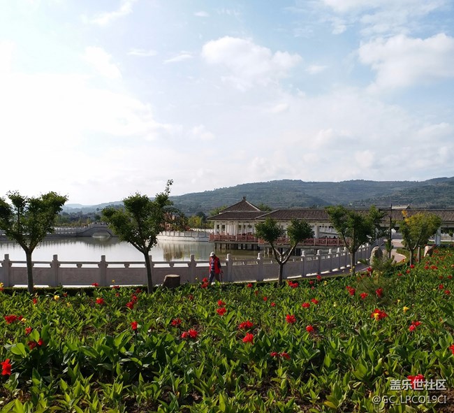 C9Pro的相機功能....