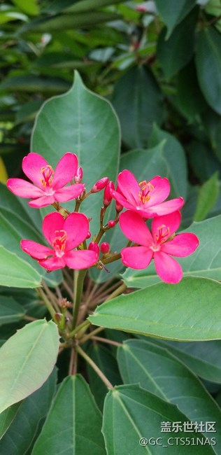 荔枝公園好天氣值得欣賞拍照