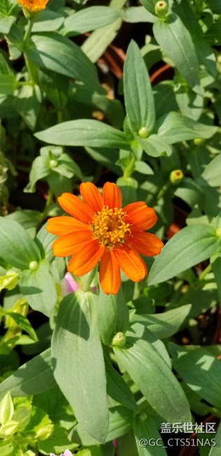 荔枝公園好天氣值得欣賞拍照