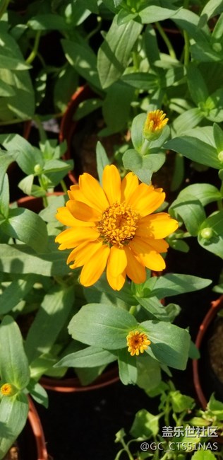 荔枝公園好天氣值得欣賞拍照