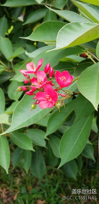 荔枝公園好天氣值得欣賞拍照