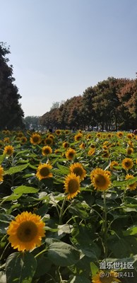 不負秋光