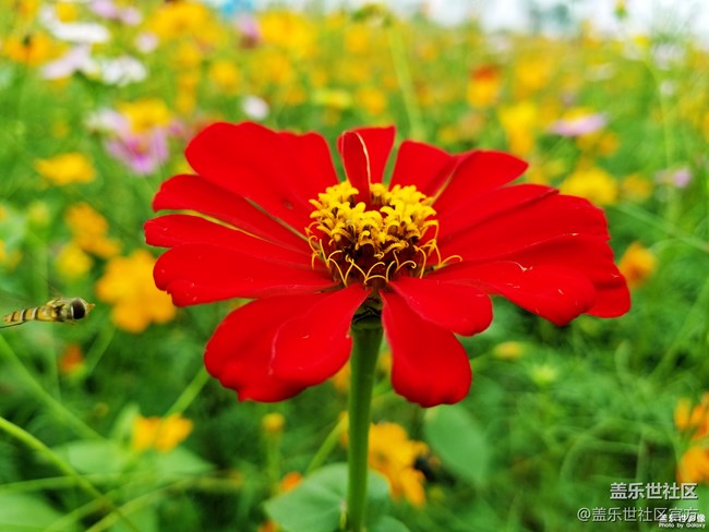 每周精帖匯【第73期：這個(gè)十一長假你怎么過的？】