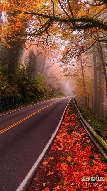 s7能增加輕觸指紋點亮屏幕嗎?