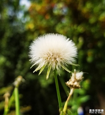 【光影交錯(cuò)的世界】+抓住秋天的小尾巴