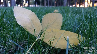 【光影交錯的世界】+秋天里的童話