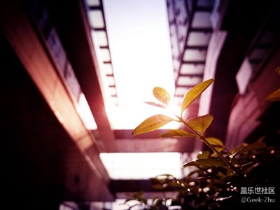 【光影交錯(cuò)的世界】+日常雜拍