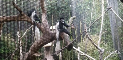 這些圖片普通嗎？看note8，成就不可思議的拍照效果