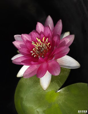 【開(kāi)獎(jiǎng)啦】十一特輯——吃喝玩樂(lè)