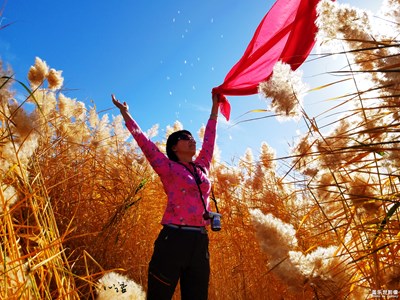 【光影交錯的世界】+光影很美，我用S7來記錄