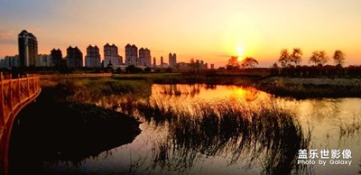 【光影交錯(cuò)的世界】+S8+鏡頭中的光影交錯(cuò)