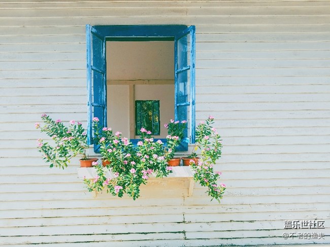 每周精帖匯【第75期：蓋樂世影像之旅「拍，才知道」】