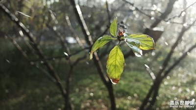 拍才知道+旅途隨拍