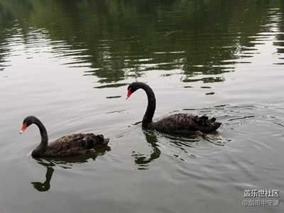 拍才知道+新人報(bào)道