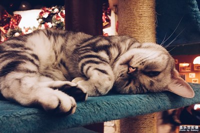 拍才知道+吾喵萬歲