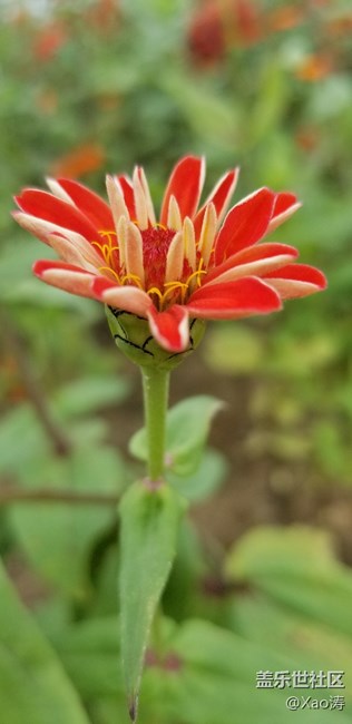 隨便玩玩都很美。